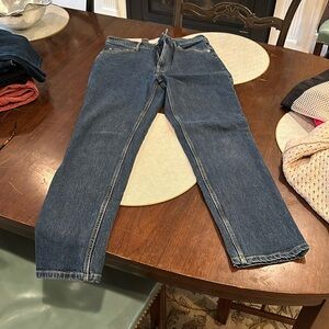 Everlane the original cheeky Jean , high rise, size 28